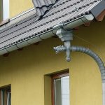 Łabędzia szyja z głową smoka