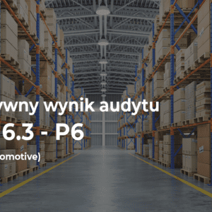 Audyt VDA 6.3 - P6